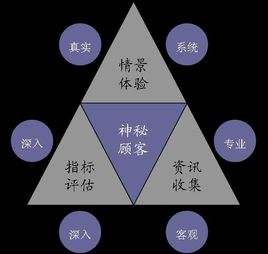 北京市場(chǎng)調(diào)查公司